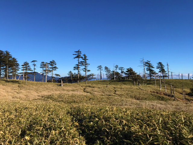 f:id:vivid_783:20191210194859j:plain