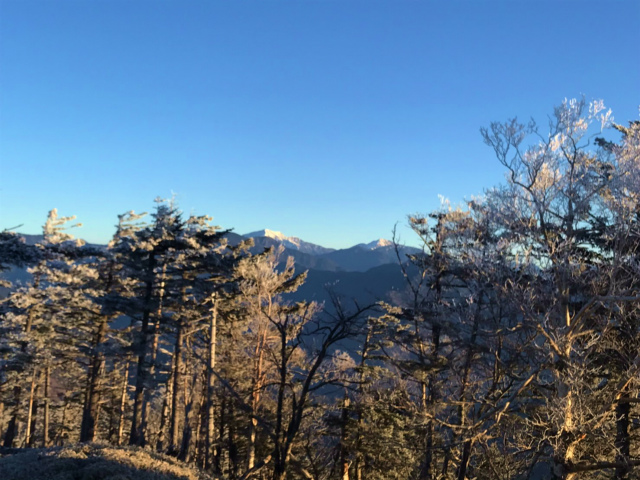f:id:vivid_783:20191210195930j:plain