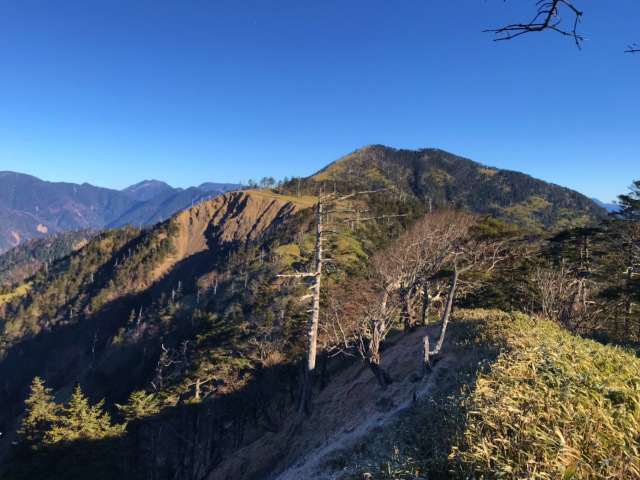 f:id:vivid_783:20191210200402j:plain