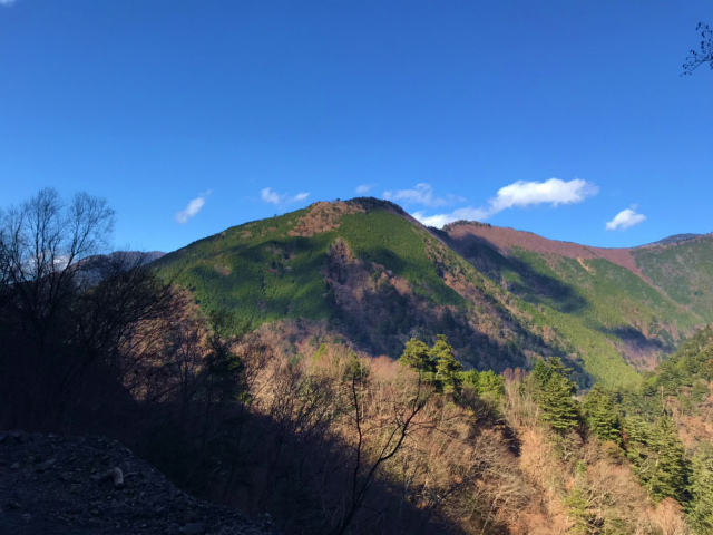 f:id:vivid_783:20191210200728j:plain