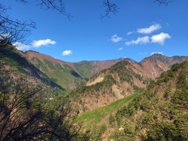 f:id:vivid_783:20191210200744j:plain
