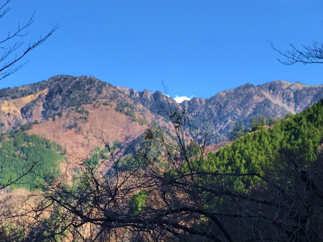 f:id:vivid_783:20191210200824j:plain