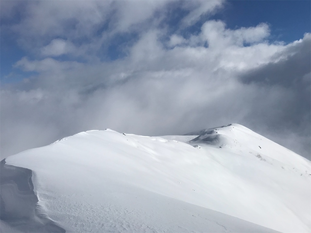 f:id:vivid_783:20200227152316j:image