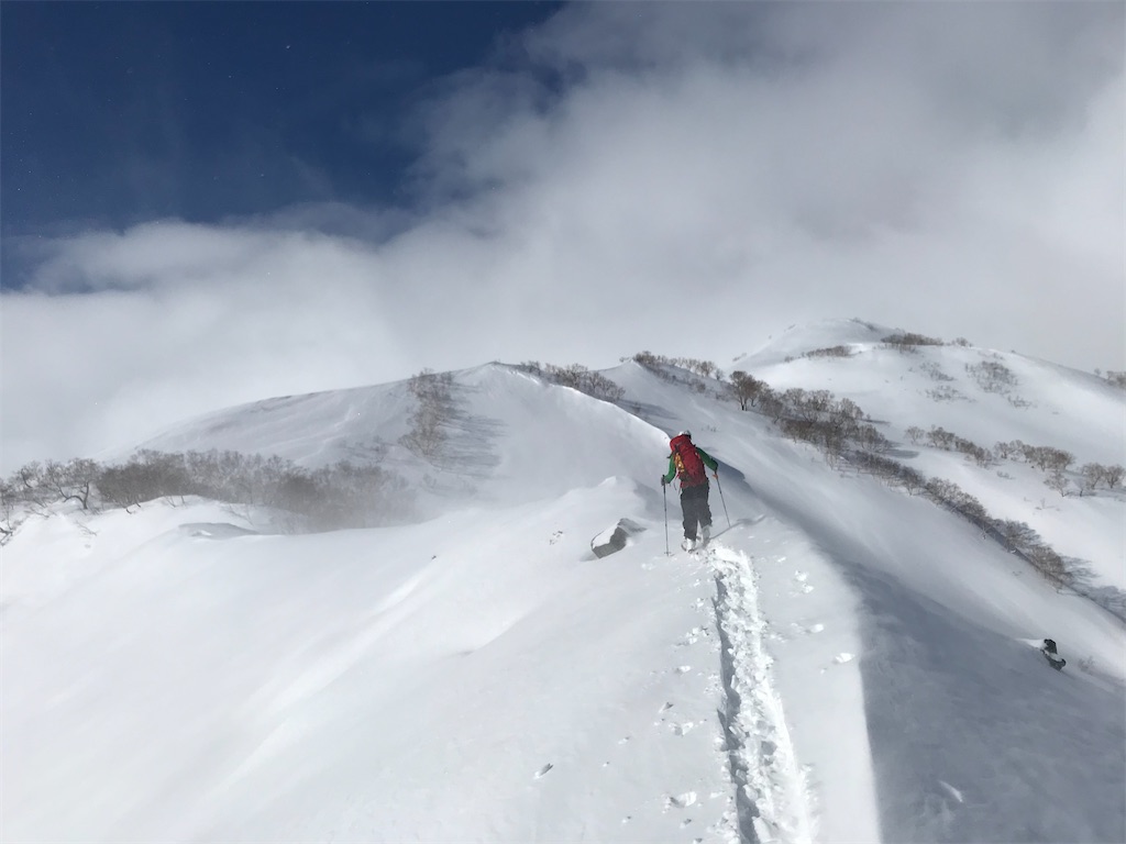 f:id:vivid_783:20200227152325j:image