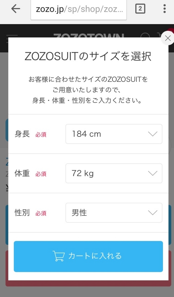 f:id:vividus:20171124122909j:plain