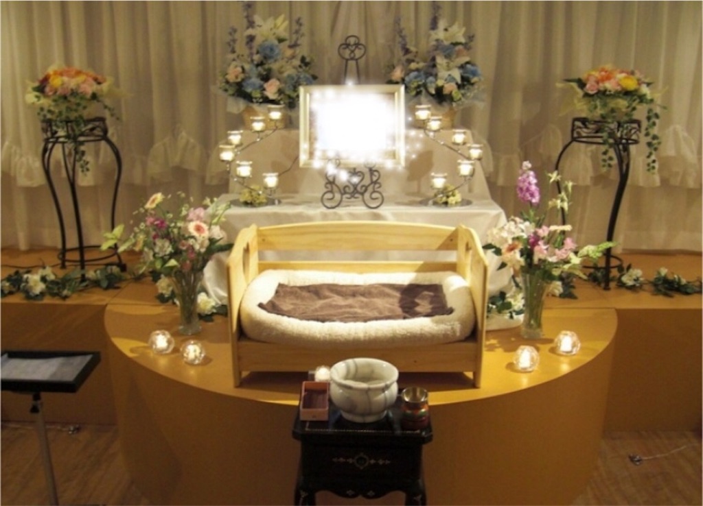 f:id:vivieng-me:20181212223717j:image f:id:vivieng-me:20181212223717j:image