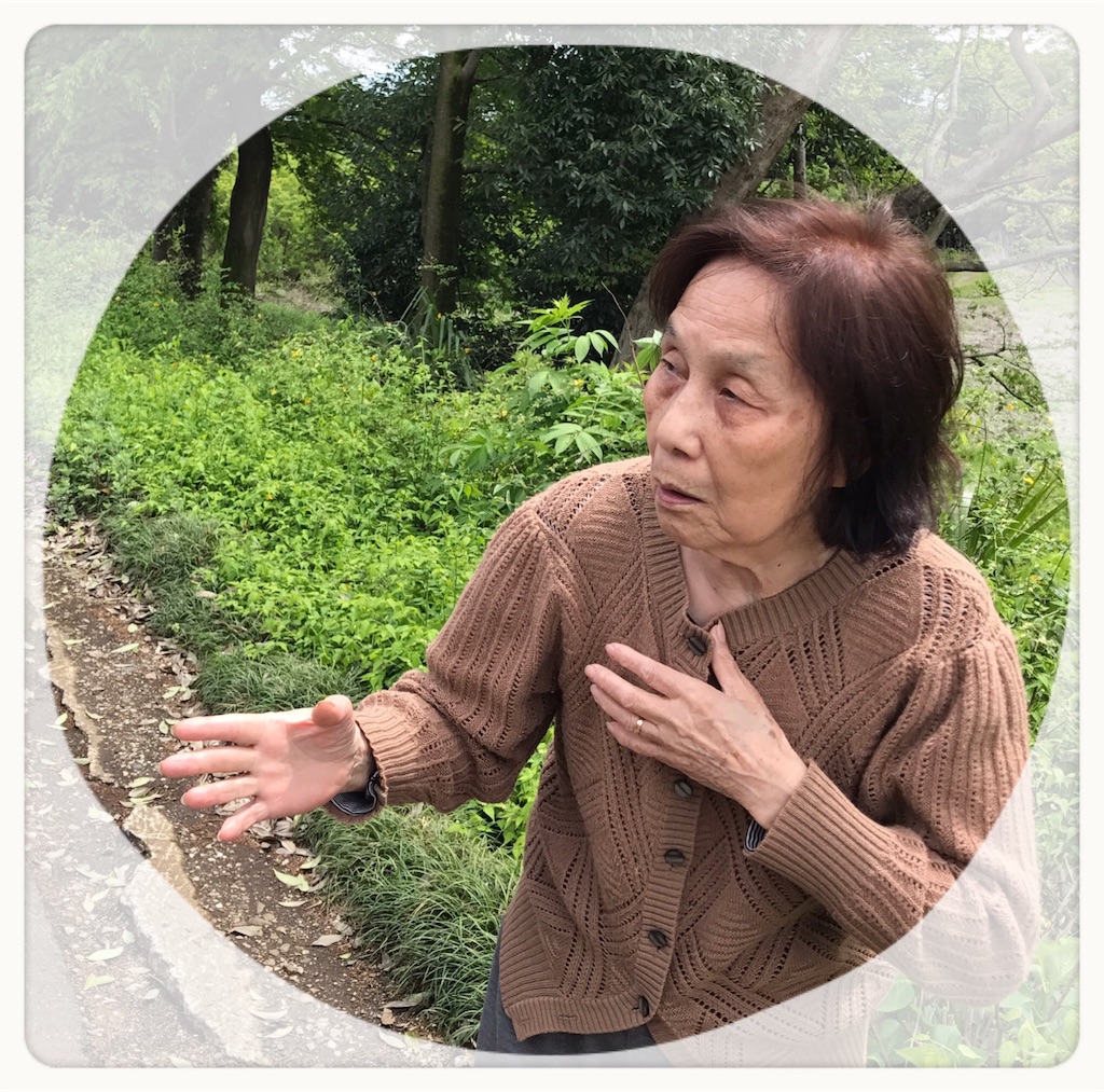 f:id:vivieng-me:20190619231238j:image