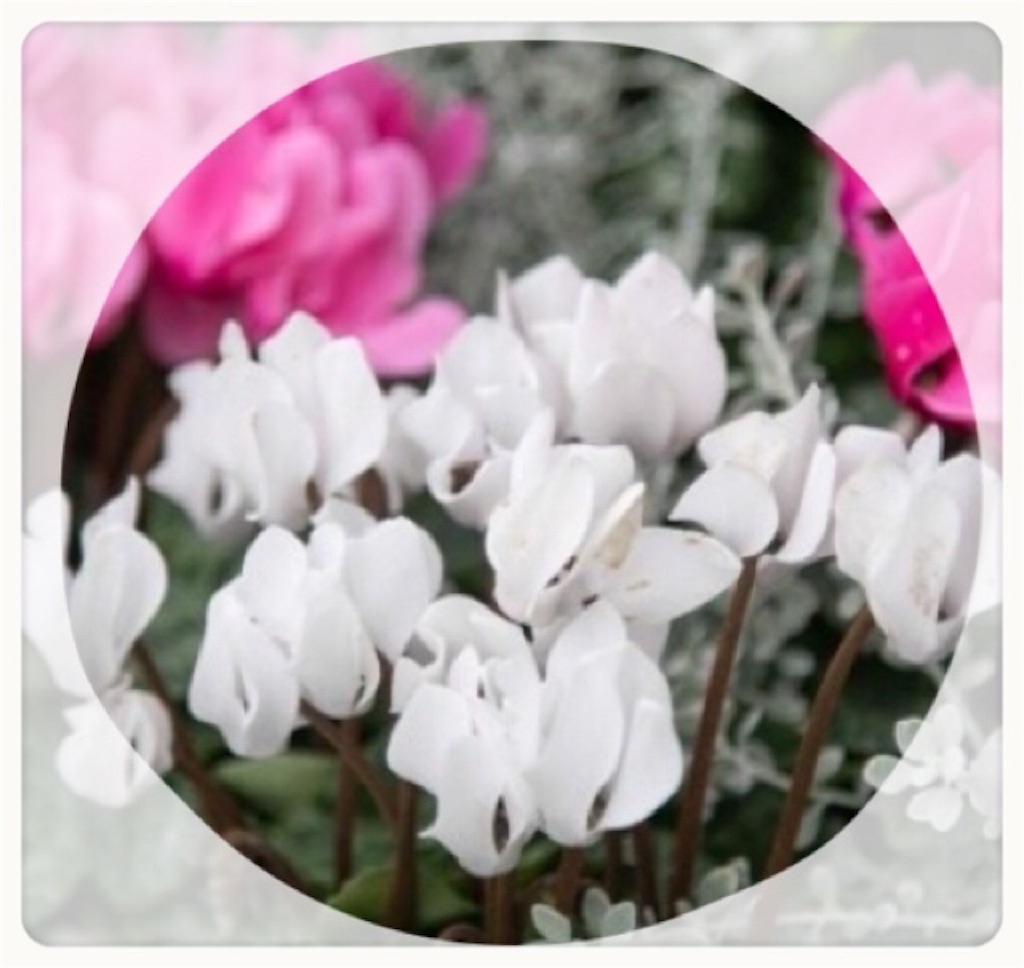 f:id:vivieng-me:20190717172647j:image f:id:vivieng-me:20190717172647j:image
