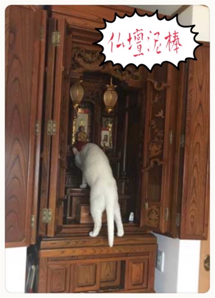 f:id:vivieng-me:20190728134808j:image f:id:vivieng-me:20190728134808j:image