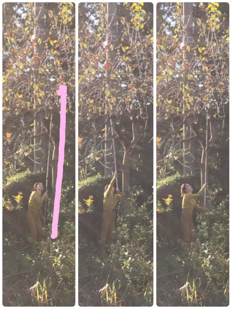 f:id:vivieng-me:20191107193710j:image f:id:vivieng-me:20191107193710j:image