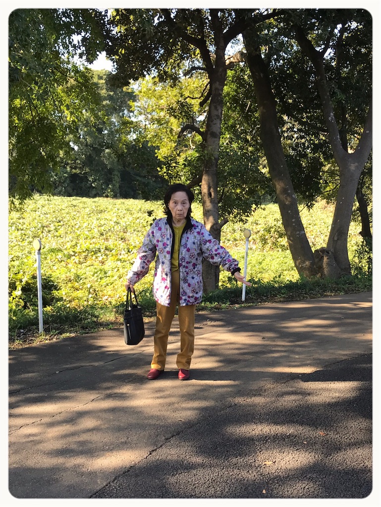 f:id:vivieng-me:20191107211105j:image f:id:vivieng-me:20191107211105j:image