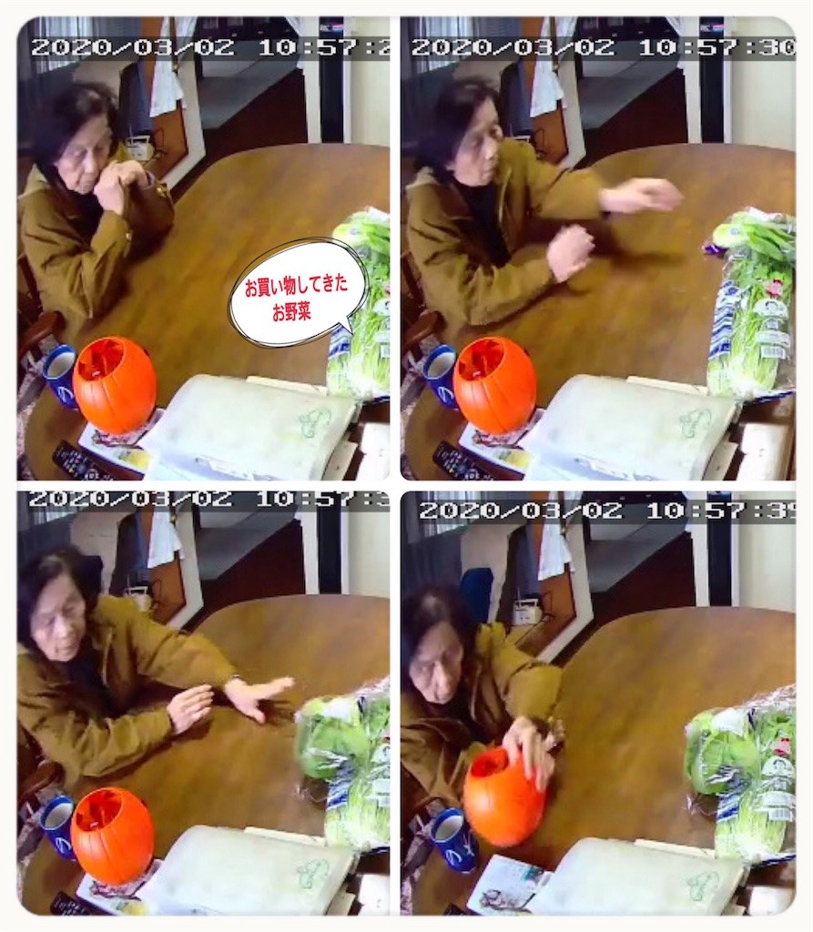 f:id:vivieng-me:20200302210820j:image f:id:vivieng-me:20200302210820j:image