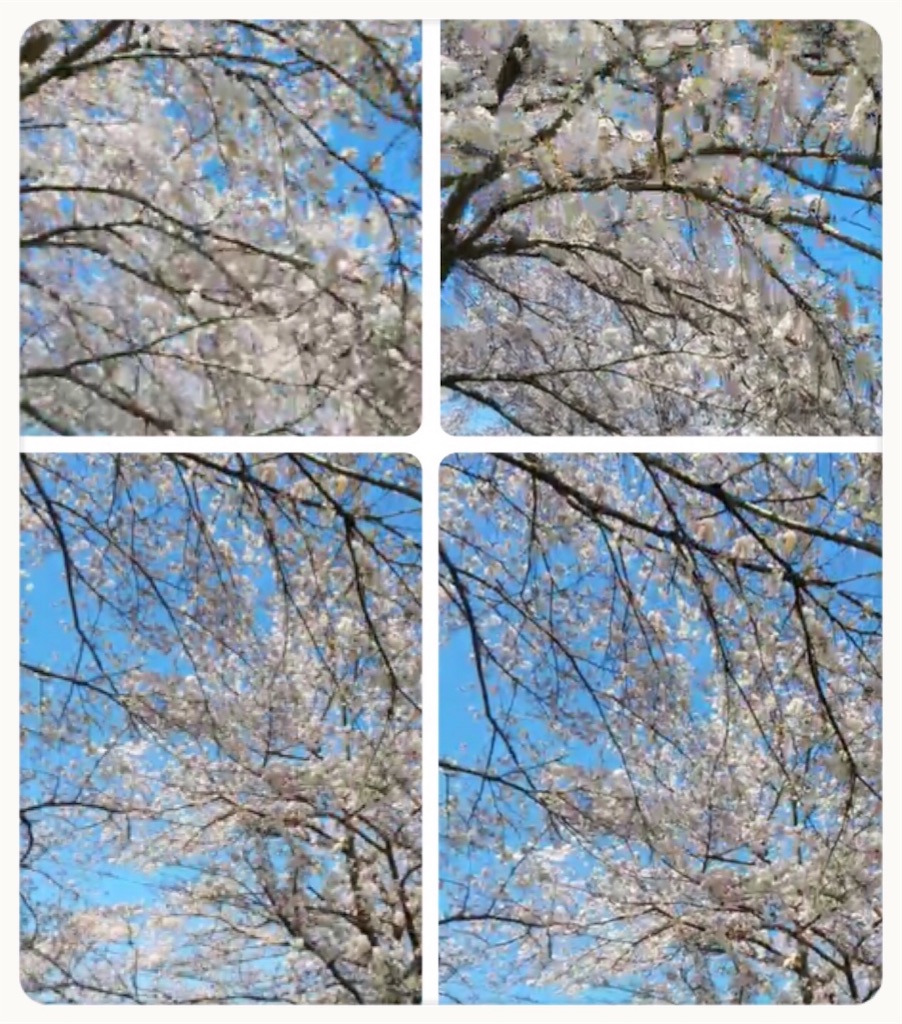 f:id:vivieng-me:20200327203346j:image f:id:vivieng-me:20200327203346j:image