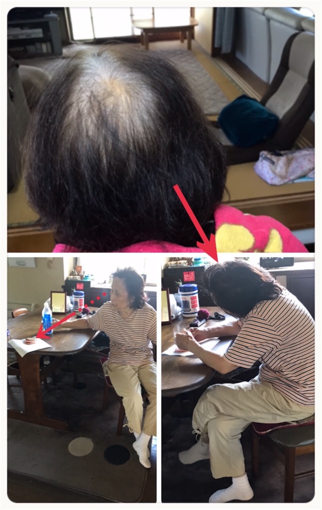 f:id:vivieng-me:20200812201129j:image f:id:vivieng-me:20200812201129j:image