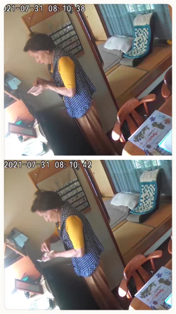 f:id:vivieng-me:20210731174935j:image