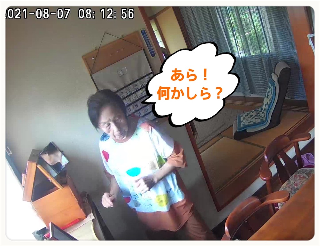 f:id:vivieng-me:20210808133337j:image