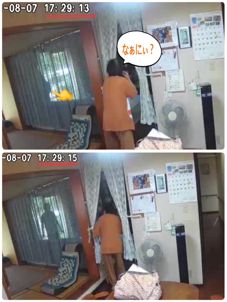 f:id:vivieng-me:20210808134018j:image
