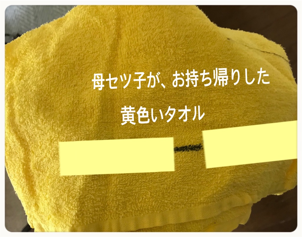 f:id:vivieng-me:20210821154112j:image