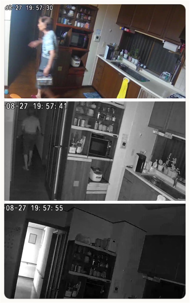 f:id:vivieng-me:20210828085749j:image