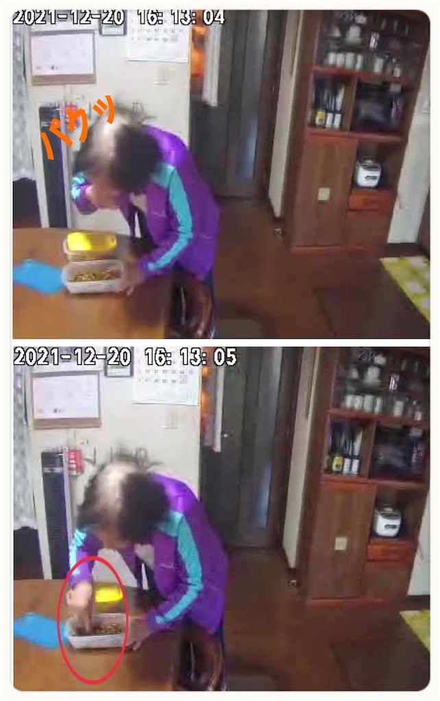 f:id:vivieng-me:20211220163653j:image f:id:vivieng-me:20211220163653j:image