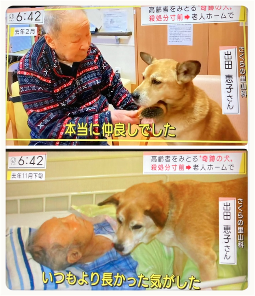 f:id:vivieng-me:20220107112556j:image
