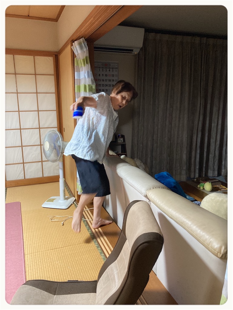 f:id:vivieng-me:20220820154934j:image