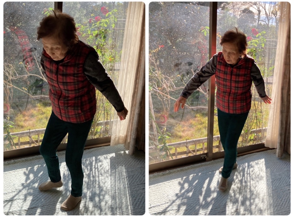 f:id:vivieng-me:20230129122031j:image f:id:vivieng-me:20230129122031j:image