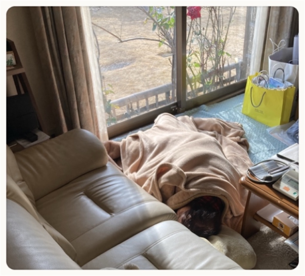 f:id:vivieng-me:20230129122122j:image f:id:vivieng-me:20230129122122j:image