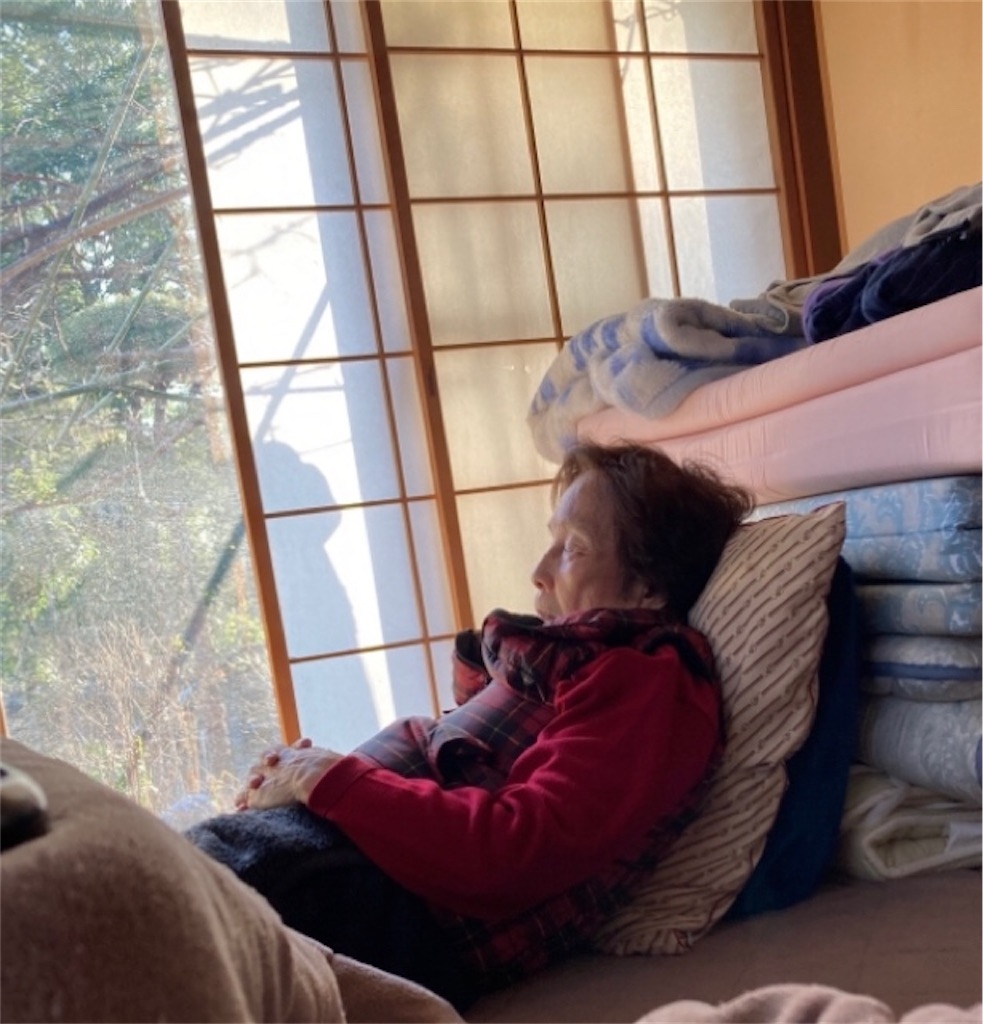 f:id:vivieng-me:20230129122203j:image f:id:vivieng-me:20230129122203j:image