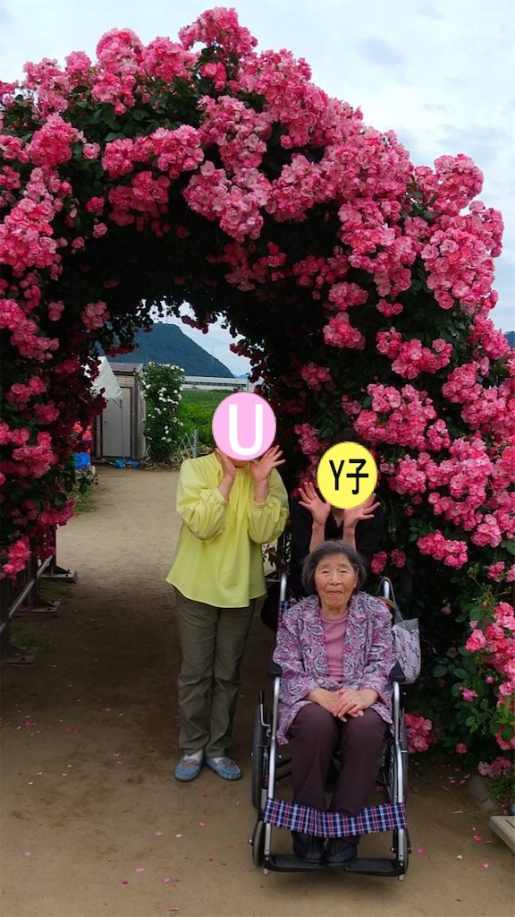 f:id:vivieng-me:20230610203040j:image f:id:vivieng-me:20230610203040j:image