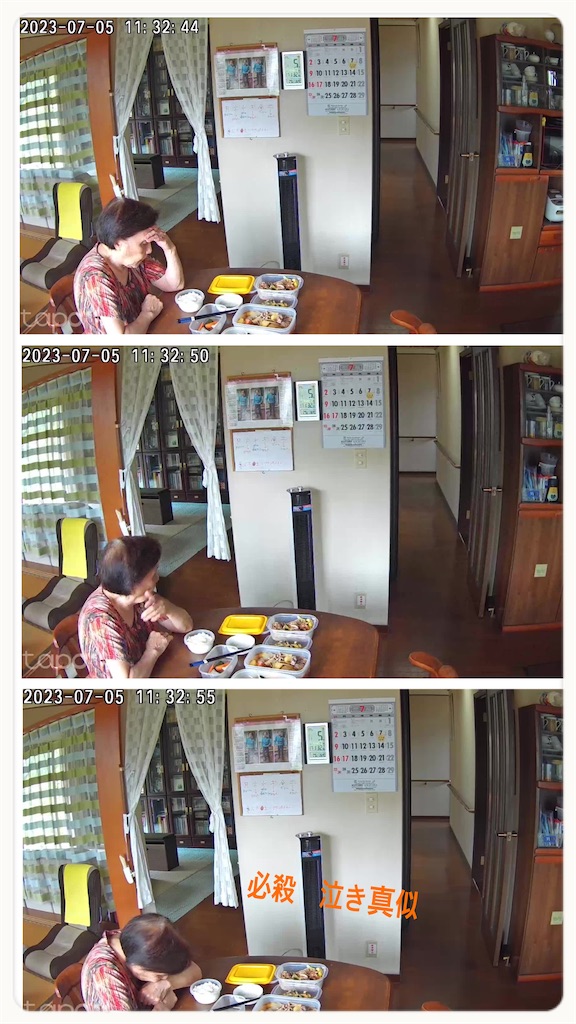f:id:vivieng-me:20230705184820j:image