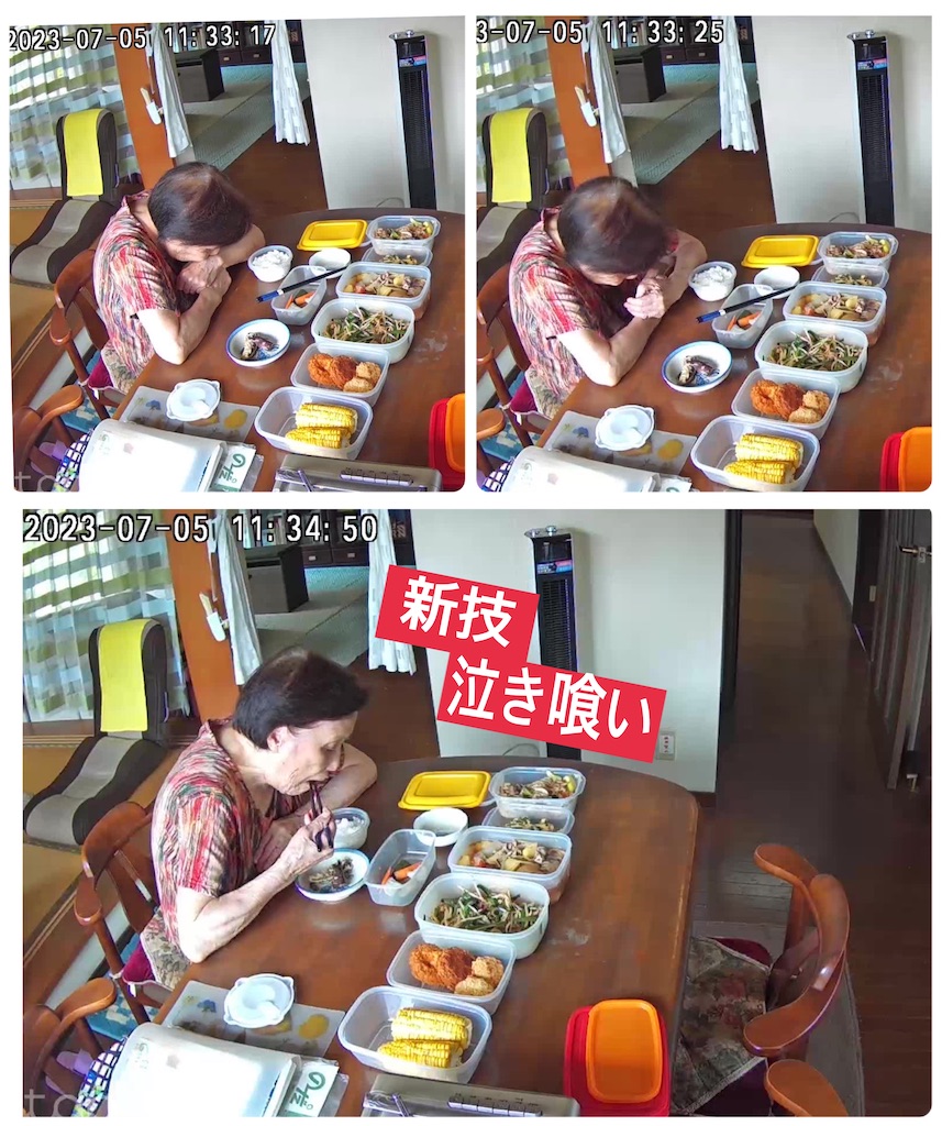 f:id:vivieng-me:20230705193328j:image
