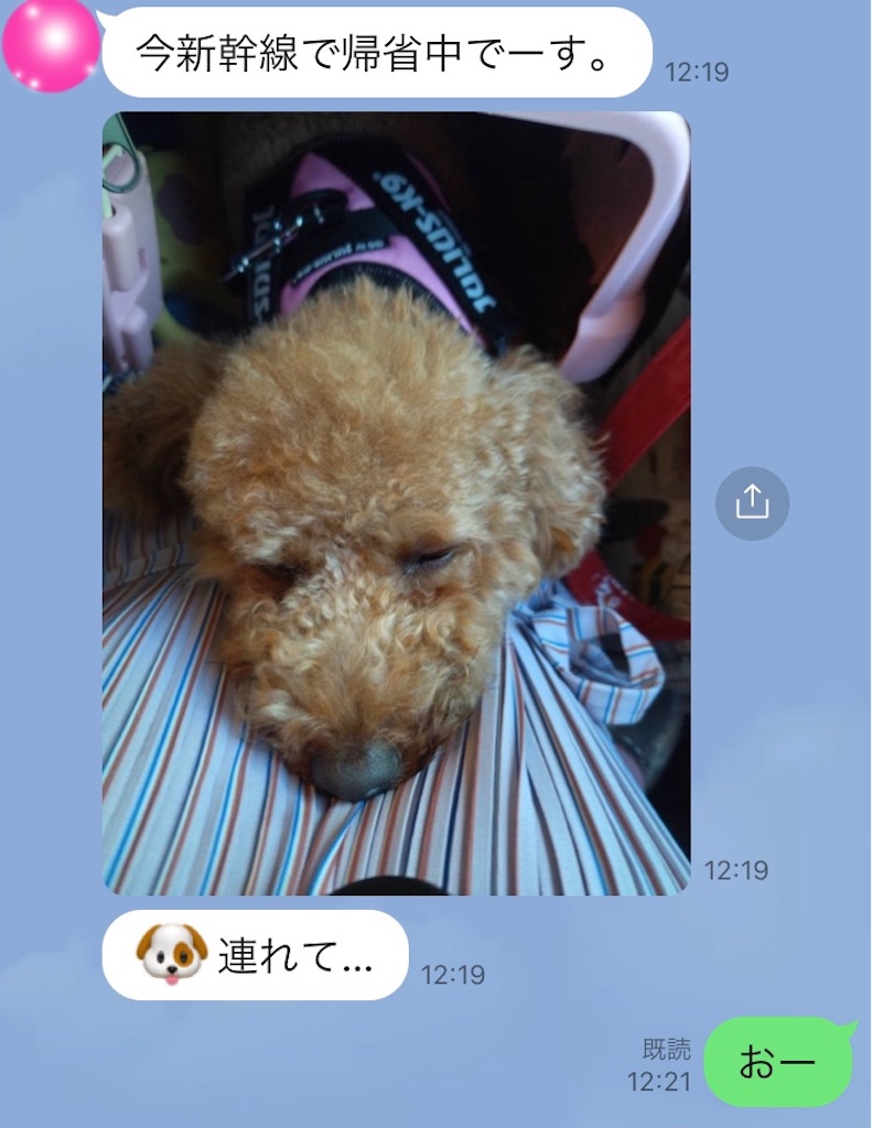 f:id:vivieng-me:20230810204003j:image