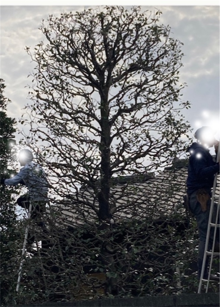 f:id:vivieng-me:20230826194139j:image f:id:vivieng-me:20230826194139j:image