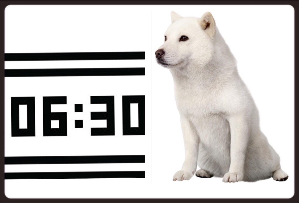 f:id:vivieng-me:20240209201914j:image f:id:vivieng-me:20240209201914j:image