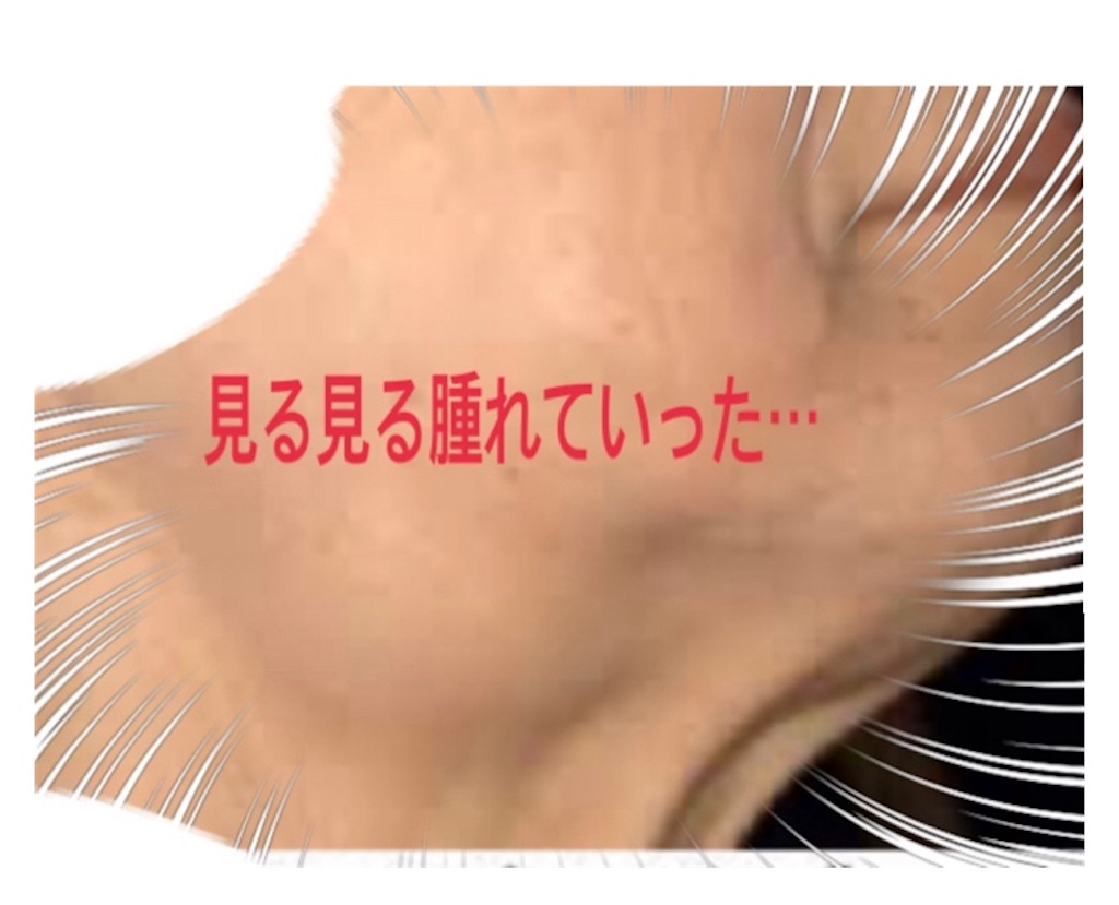 f:id:vivieng-me:20240211180423j:image