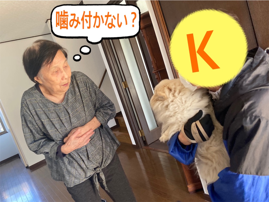 f:id:vivieng-me:20240401161425j:image