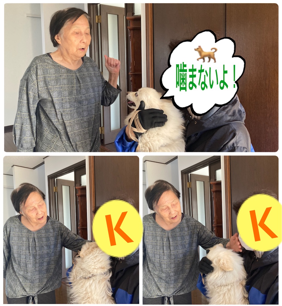 f:id:vivieng-me:20240401161800j:image