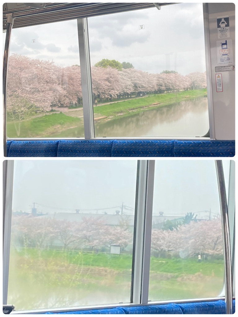 f:id:vivieng-me:20240412202020j:image