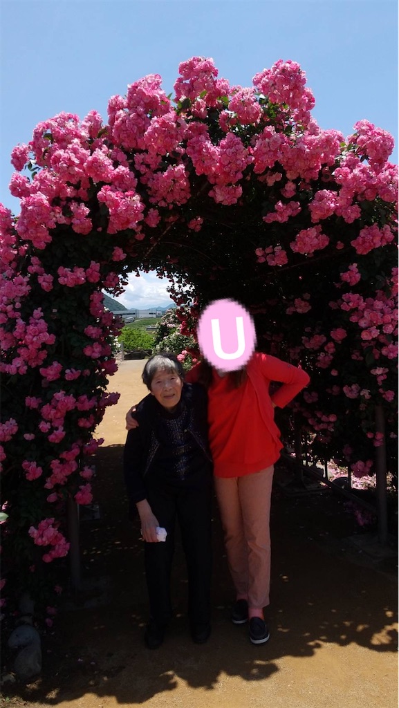 f:id:vivieng-me:20240605231140j:image
