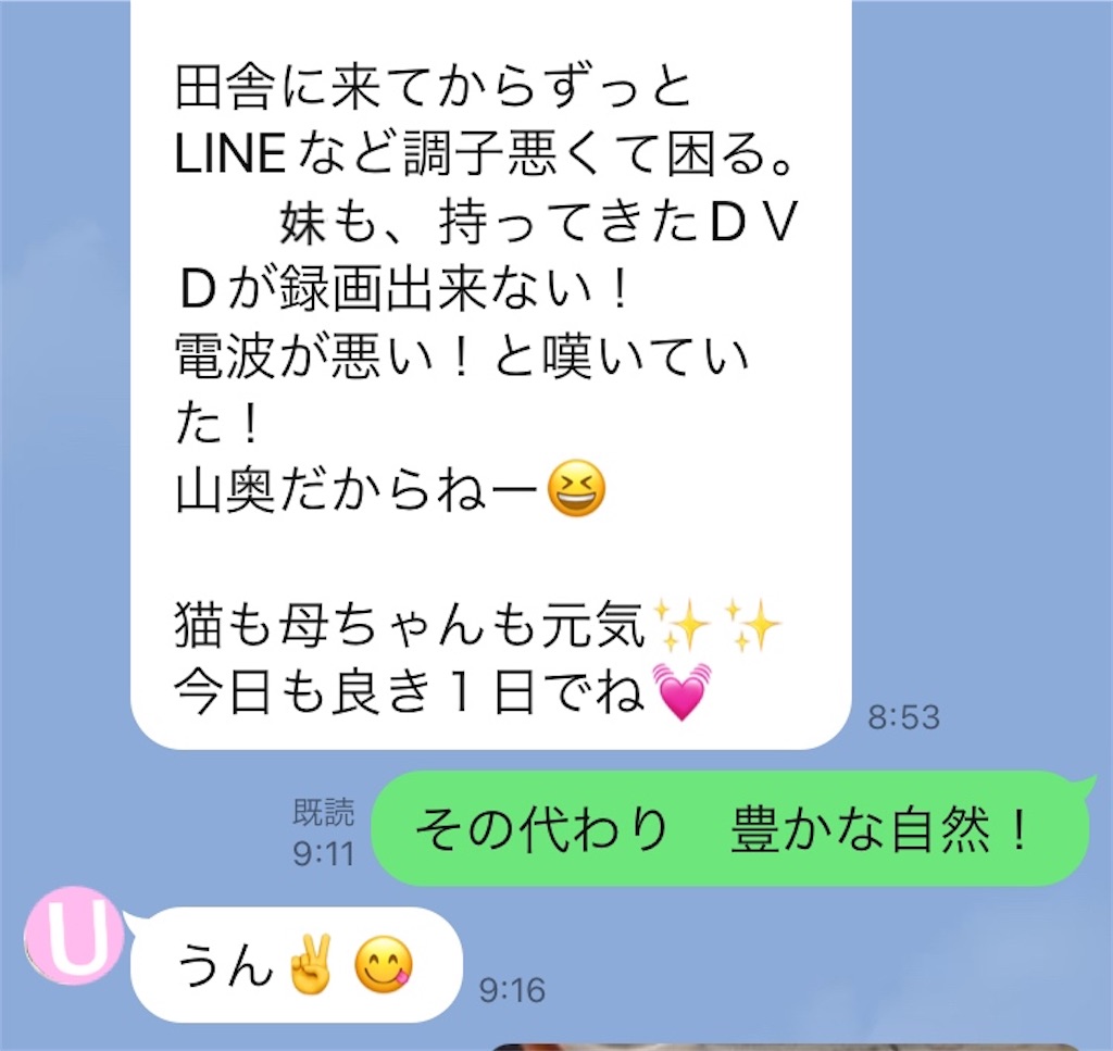 f:id:vivieng-me:20240608144705j:image