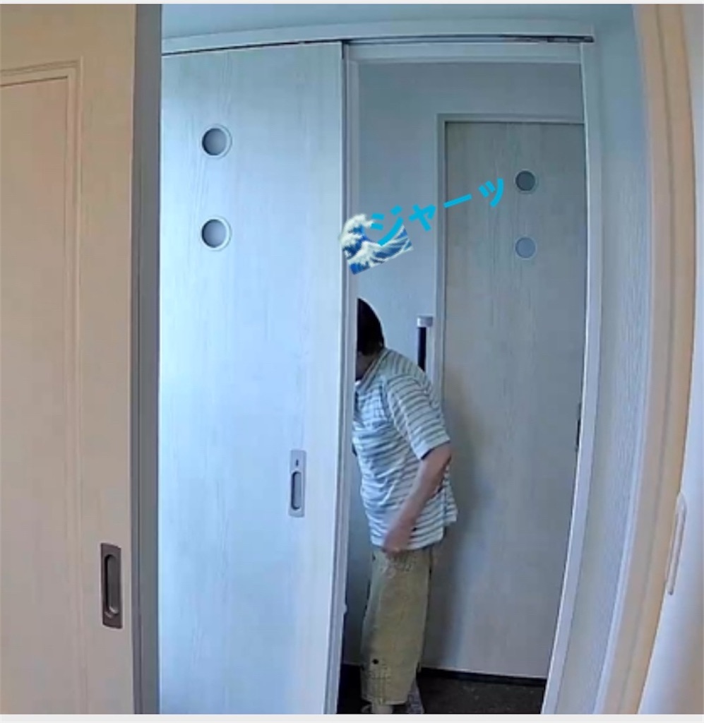 f:id:vivieng-me:20240615185454j:image