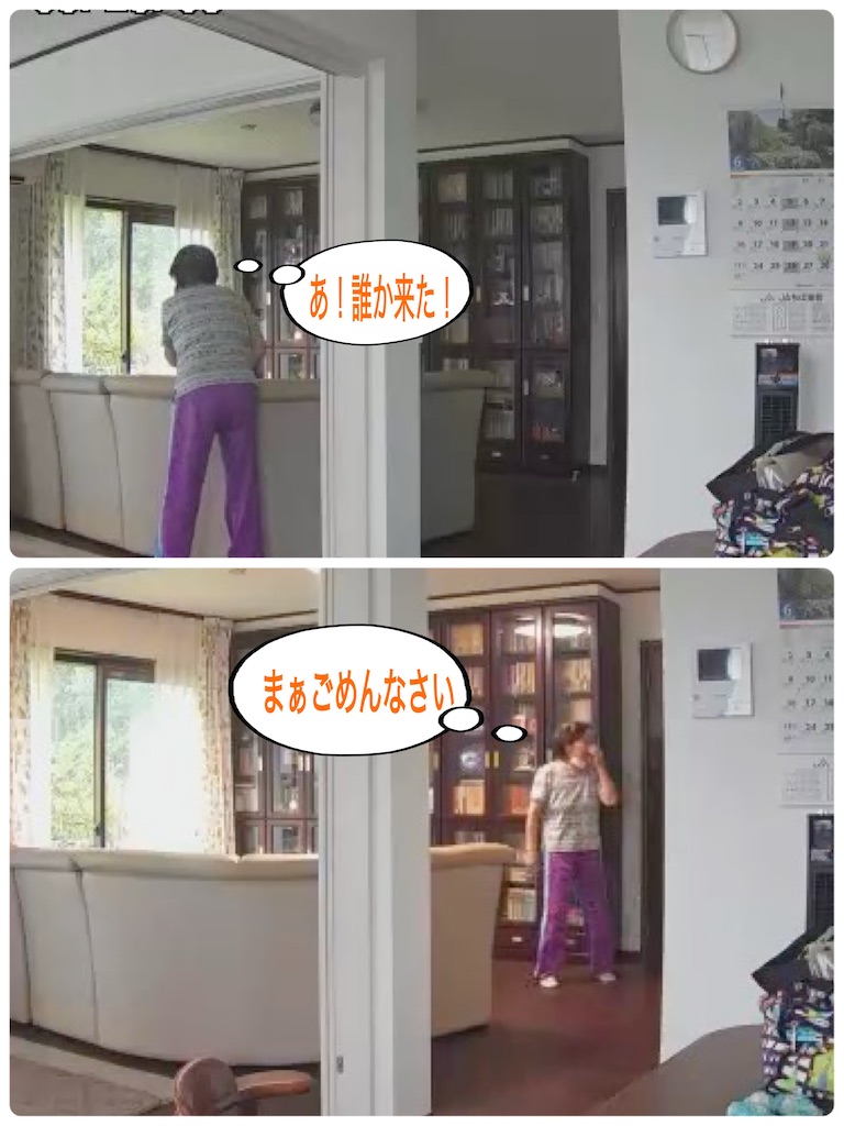 f:id:vivieng-me:20240621214425j:image