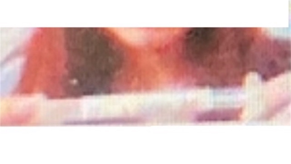 f:id:vivieng-me:20240625220718j:image