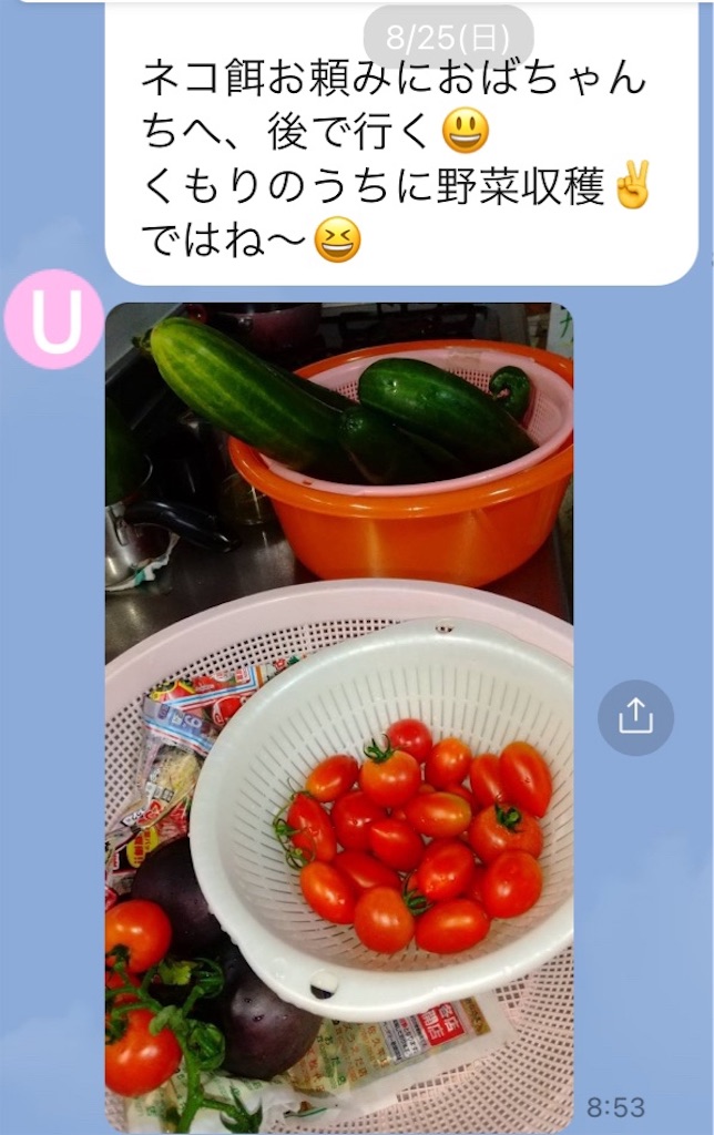 f:id:vivieng-me:20240827171607j:image