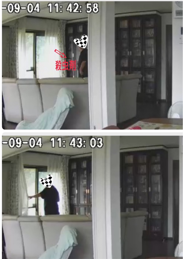 f:id:vivieng-me:20240904223015j:image