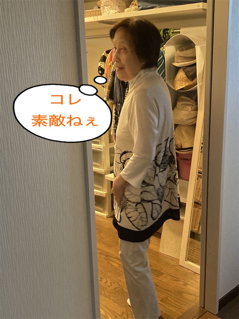 f:id:vivieng-me:20240915185856j:image