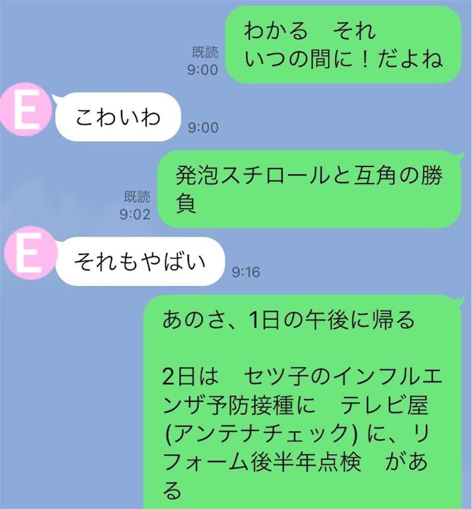 f:id:vivieng-me:20241030193911j:image