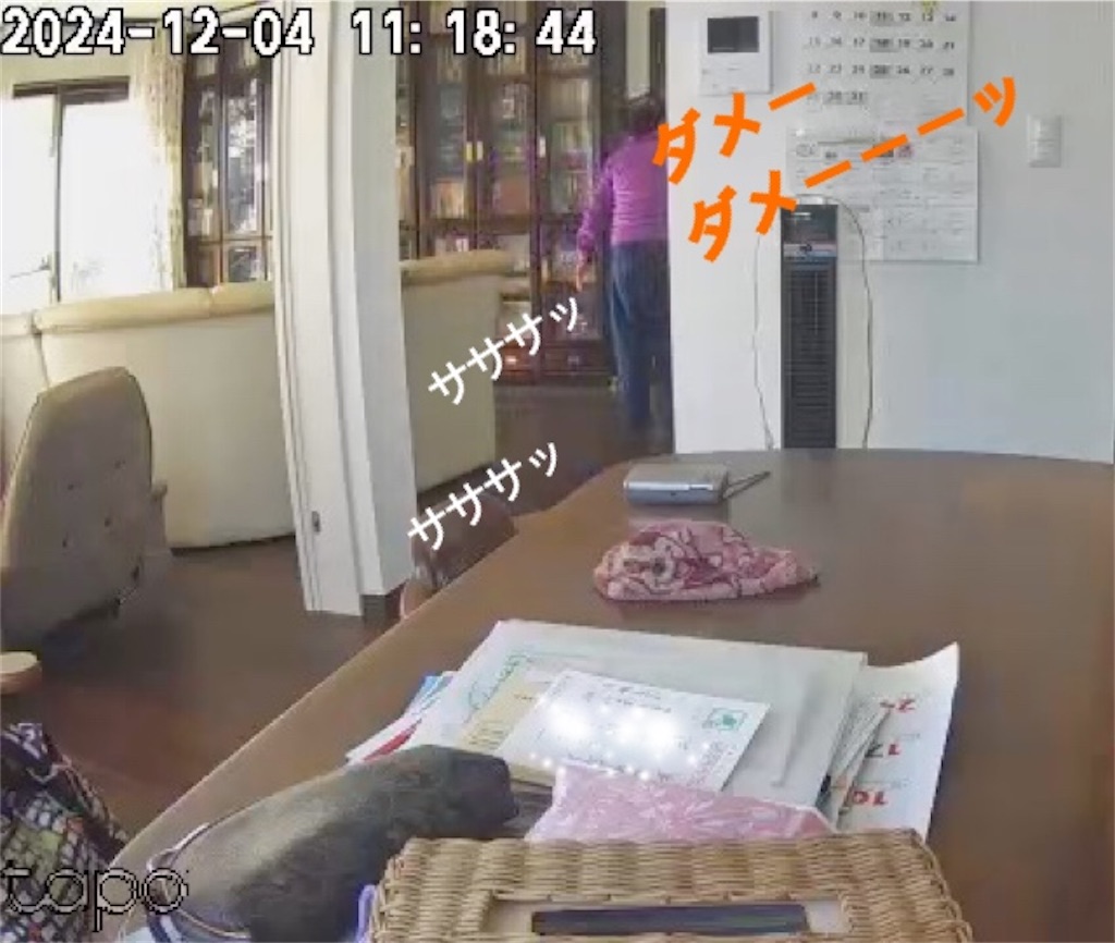 f:id:vivieng-me:20241204171442j:image