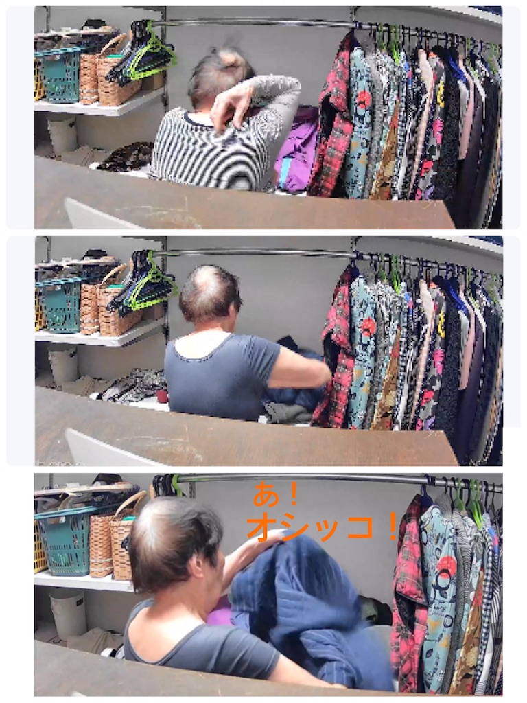 f:id:vivieng-me:20241207180922j:image